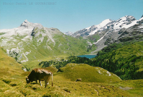 Switzerland