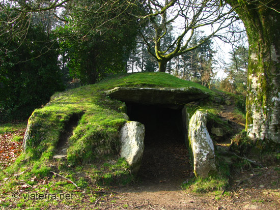 dolmen ti ar boudiged brennilis