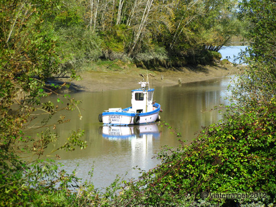 canal buzay martinière