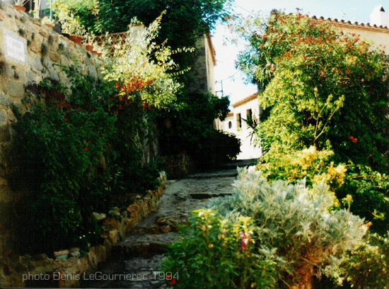 tossa de mar